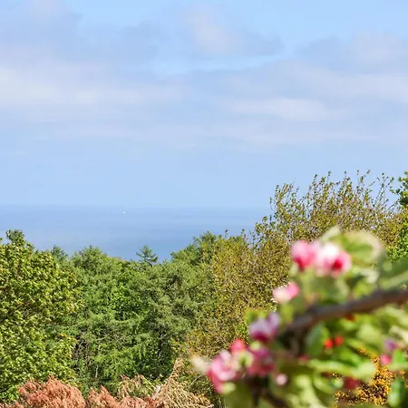 Wayside Farm Dairy Prázdninový dům *