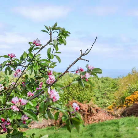 Дом отдыха Wayside Farm Dairy *